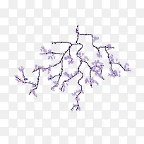 �ʻ���ɫ������֦-������