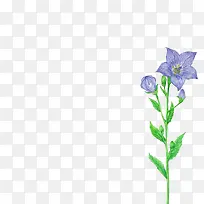 ��ɫ����ˮ�ʻ��仨֦-������