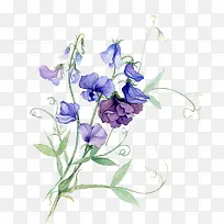 ��ˮ�ʻ�����ɫ����-������