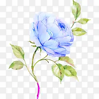 书蓝色花朵绿色树枝-空若网 书蓝色花朵绿色树枝-空若网