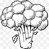 西兰花 蔬菜 植物-空若网 西兰花 蔬菜 植物-空若网