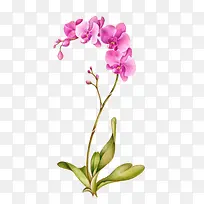 �����ֻ�-������