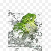 水中西兰花-空若网 水中西兰花-空若网