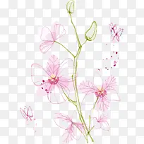 手绘兰花-空若网 手绘兰花-空若网