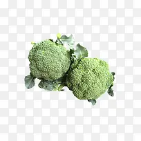 Î÷À¼»¨Êß²Ë-¿ÕÈôÍø Î÷À¼»¨Êß²Ë-¿ÕÈôÍø