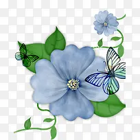 手绘兰花-空若网 手绘兰花-空若网