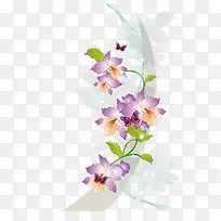 手绘兰花-空若网 手绘兰花-空若网