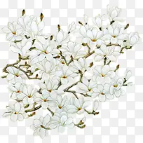 �ֻ滨-������