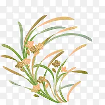 兰花-空若网 兰花-空若网