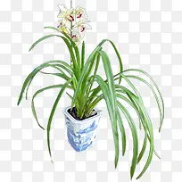 ������Ӱ�����ɫ����-������