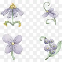 手绘兰花-空若网 手绘兰花-空若网