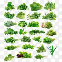 ÂÌÉ«Êß²Ë-¿ÕÈôÍø ÂÌÉ«Êß²Ë-¿ÕÈôÍø