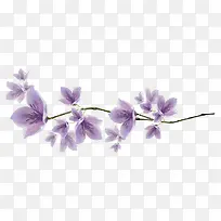 ������֦-������