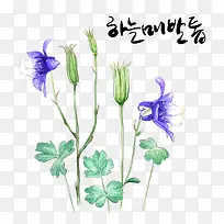 兰花手绘-空若网 兰花手绘-空若网