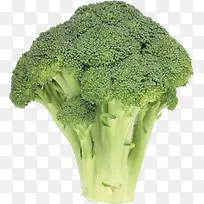 蔬菜西兰花-空若网 蔬菜西兰花-空若网