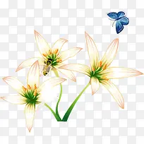 手绘兰花-空若网 手绘兰花-空若网