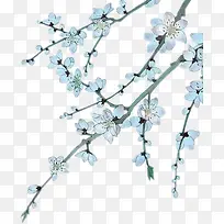 兰花-空若网 兰花-空若网