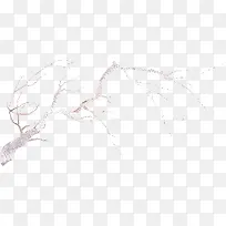 创意水彩水墨树木树枝-空若网 创意水彩水墨树木树枝-空若网