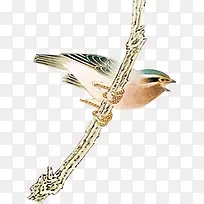 水墨画树枝上的小鸟中秋-空若网 水墨画树枝上的小鸟中秋-空若网