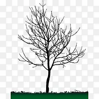 ����Ӱ-������