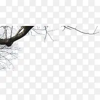 ��ɫ������֦���-������