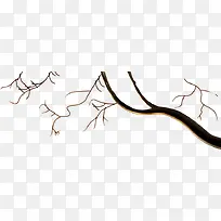 ��ɫ������֦����-������