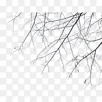 ������Ӱ��ɫ����֦����-������