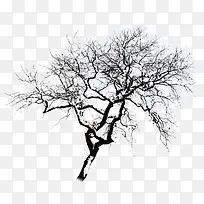 黑色冬季树枝装饰-空若网 黑色冬季树枝装饰-空若网