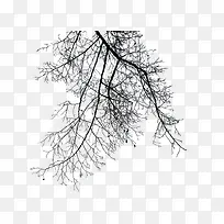 黑色树枝冬日干枯-空若网 黑色树枝冬日干枯-空若网