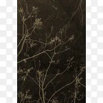 ��ɫ��֦����-������