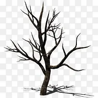 ��ɫ��ͨ��֦-������