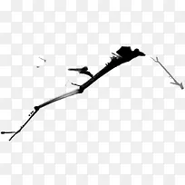 ºÚɫī¼£Ê÷Ö¦-¿ÕÈôÍø ºÚɫī¼£Ê÷Ö¦-¿ÕÈôÍø