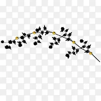 黄色小花树枝黑色叶子-空若网 黄色小花树枝黑色叶子-空若网