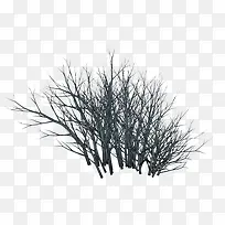 树枝黑色树枝装饰-空若网 树枝黑色树枝装饰-空若网
