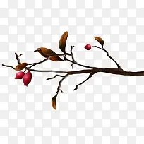 红色果实绿色叶子黑色树枝-空若网 红色果实绿色叶子黑色树枝-空若网