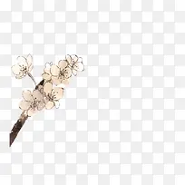 ˮ��÷����ɫ��֦-������