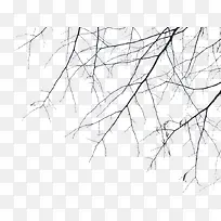 ��ɫ��֦-������