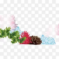 五颜六色的海草-空若网 五颜六色的海草-空若网