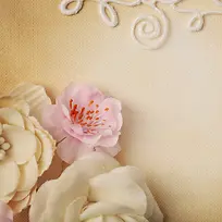 ������ز�-������