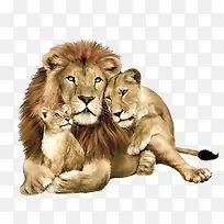 手绘狮子-空若网 手绘狮子-空若网