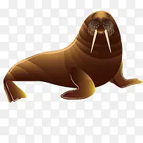 可爱海狮-空若网 可爱海狮-空若网