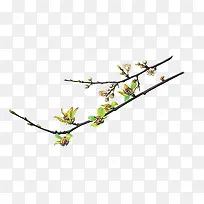 高清摄影创意春天的桃花-空若网 高清摄影创意春天的桃花-空若网