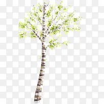 ����ˮľˮ�ʻ��ز�-������