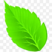 春天绿树叶子美景-空若网 春天绿树叶子美景-空若网