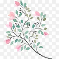 手绘植物-空若网 手绘植物-空若网