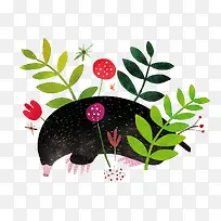 ��ͨ�ֻ�Ҷ�Ӵ��-������