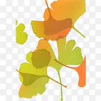 �ֻ��Ҷ-������