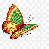 手绘蝴蝶-空若网 手绘蝴蝶-空若网