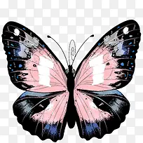 �ֻ����-������