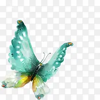 卡通手绘蝴蝶-空若网 卡通手绘蝴蝶-空若网